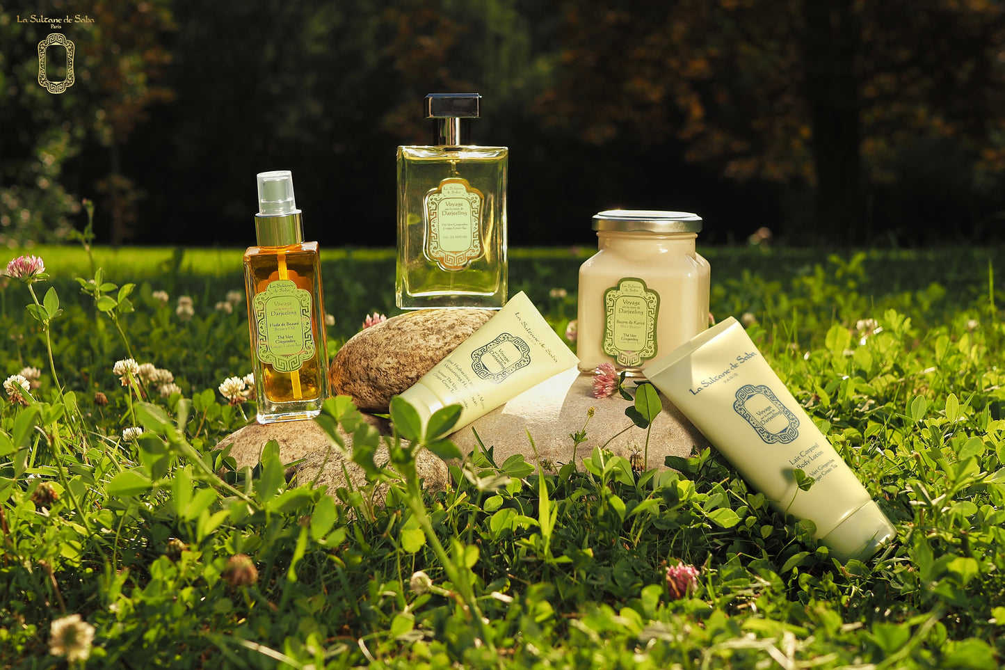 Brume hydratante corps et cheveux Thé Vert Gingembre 200ml