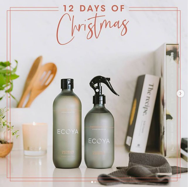 Ecoya desinfectant / nettoyant cuisine BIO