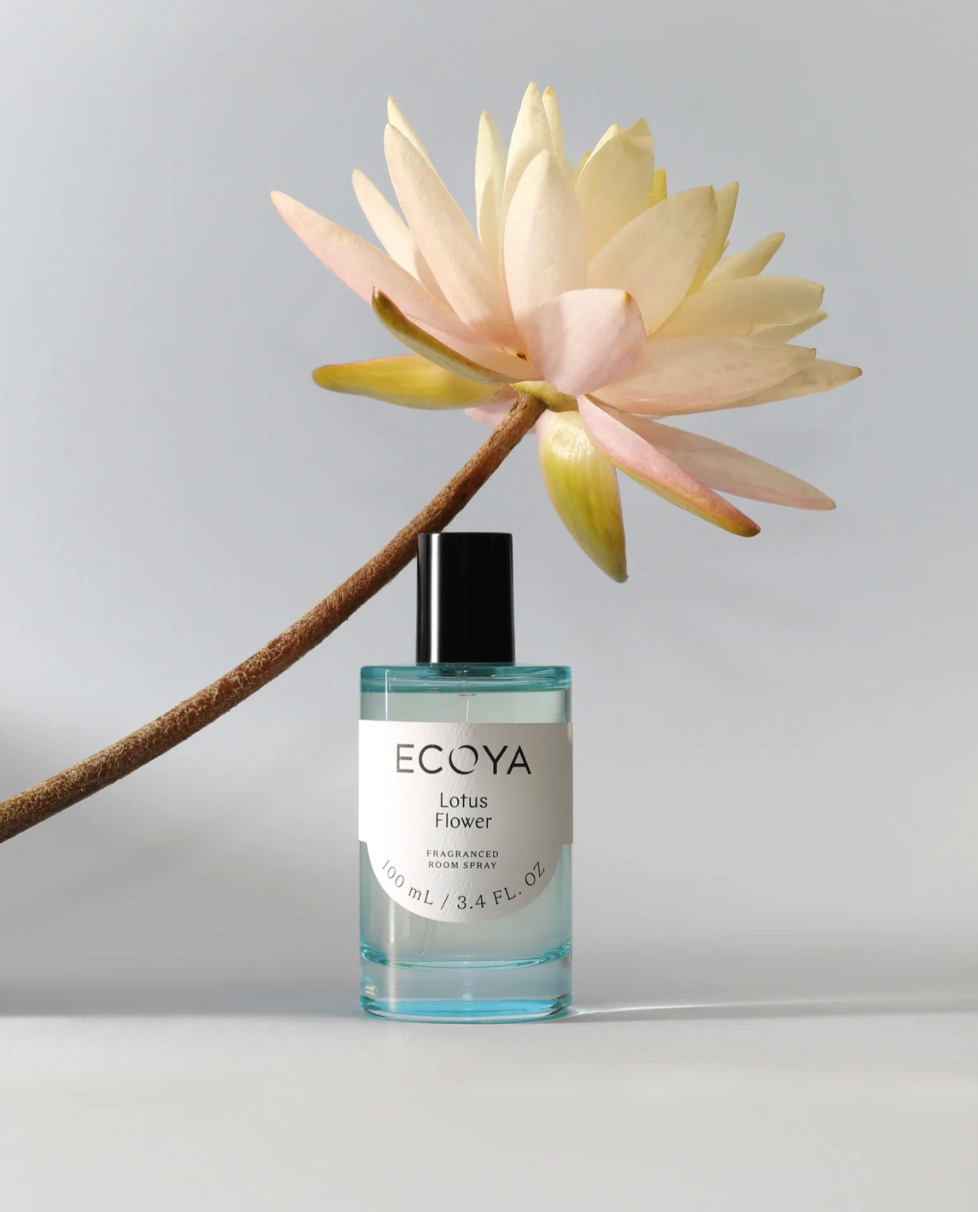 Ecoya Bougie & Diffuseur Fleur de lotus
