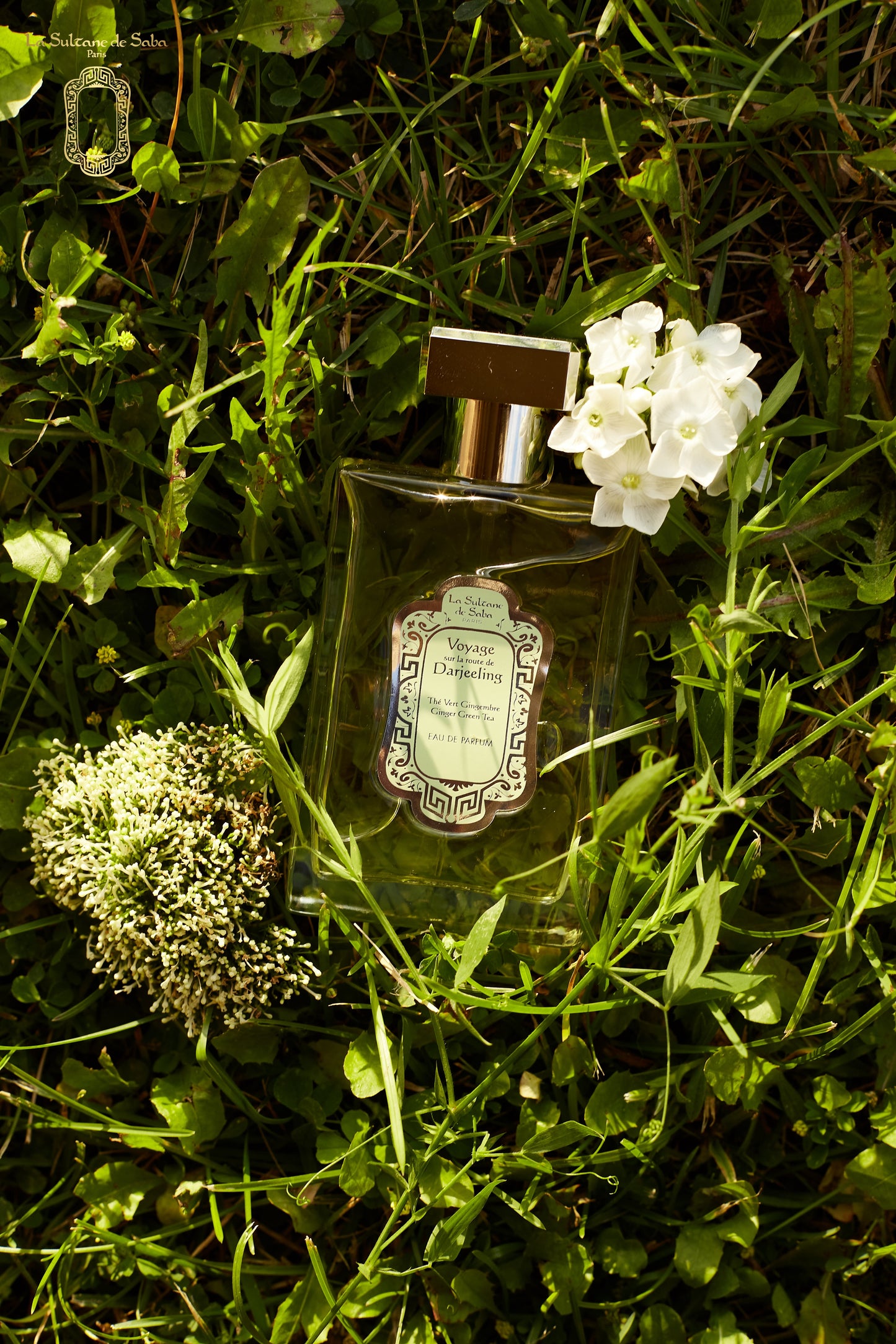 Eau de parfum Thé vert & Gingembre 100ml